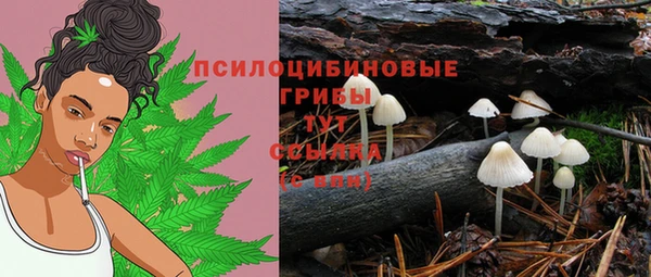 первитин Вяземский